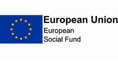 european social fund